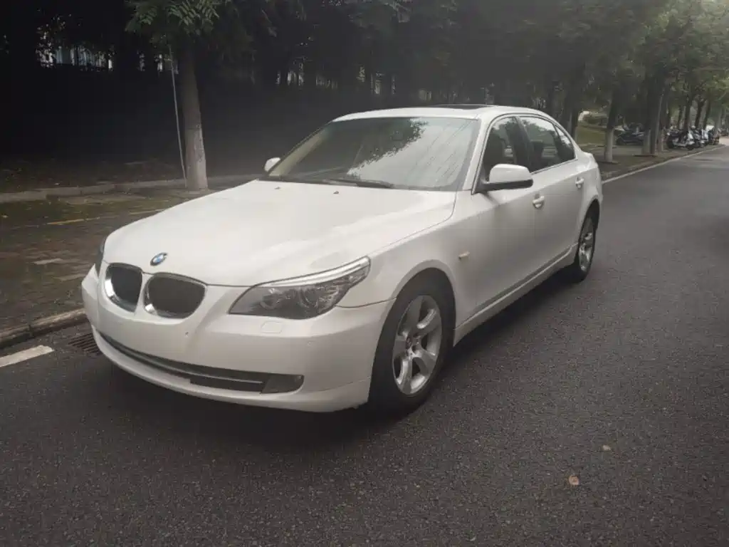 BMW 5 Series 2010