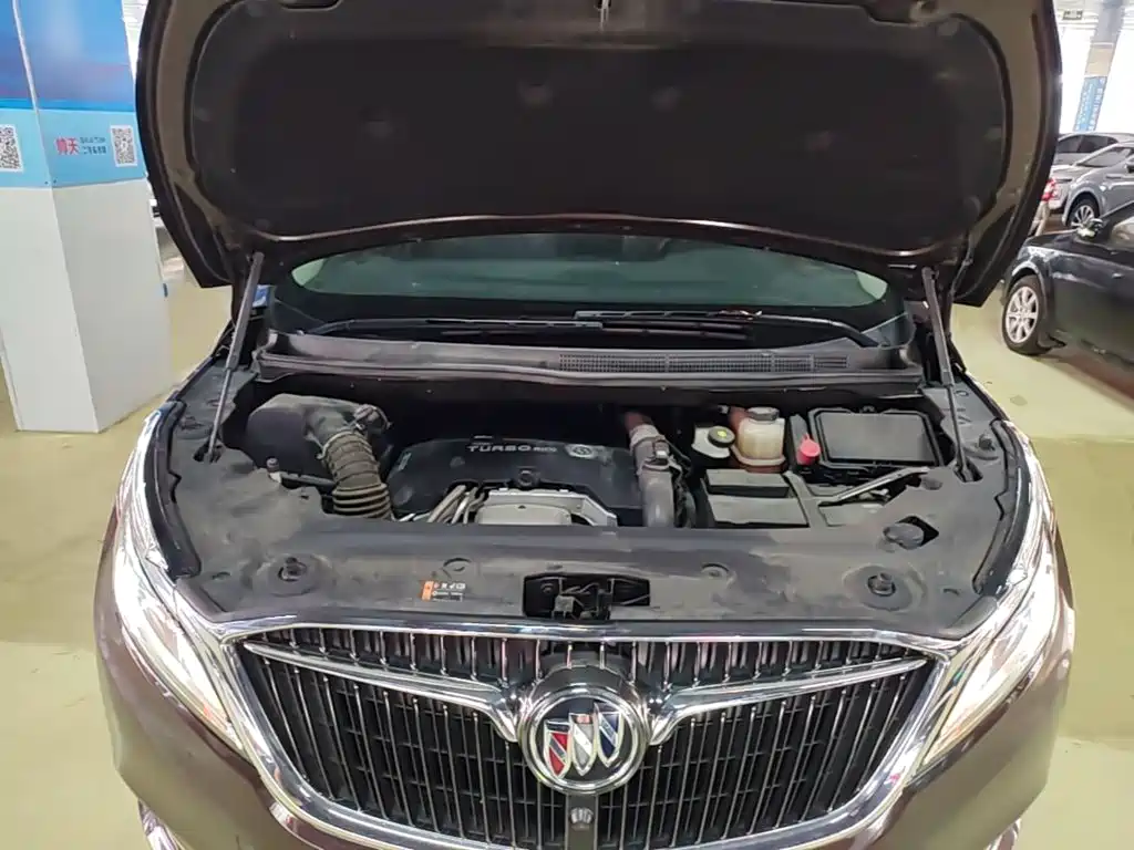 Buick GL8 — миниатюра 20