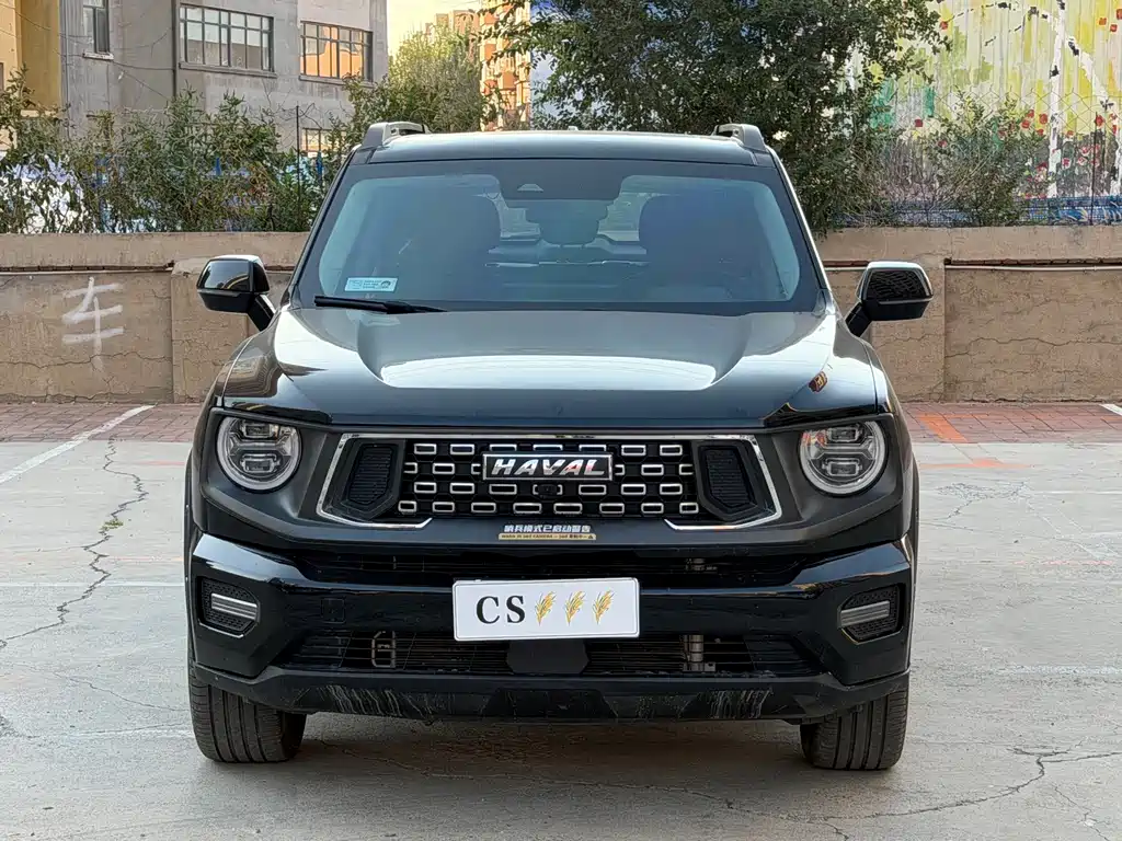 Haval Big Dog PLUS — миниатюра 2