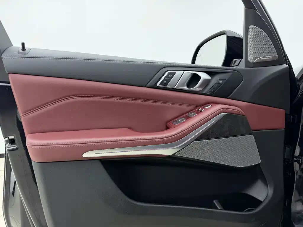 BMW X5 — миниатюра 11