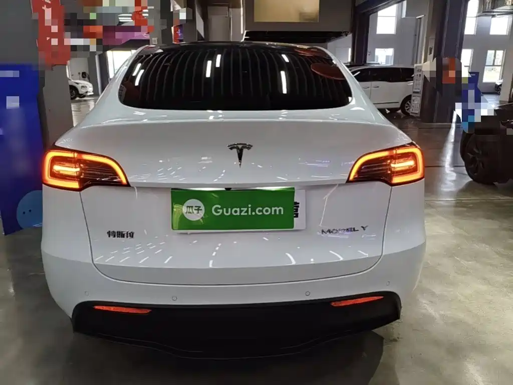 Tesla Model Y — миниатюра 6