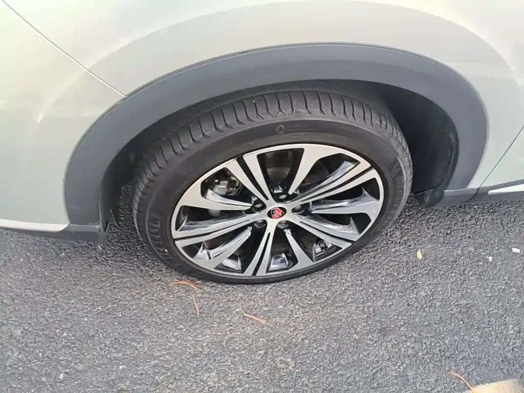 Roewe RX5 eMAX — миниатюра 23