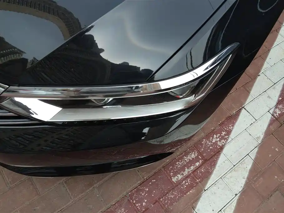Volkswagen Magotan 2019 330TSI DSG Lead V