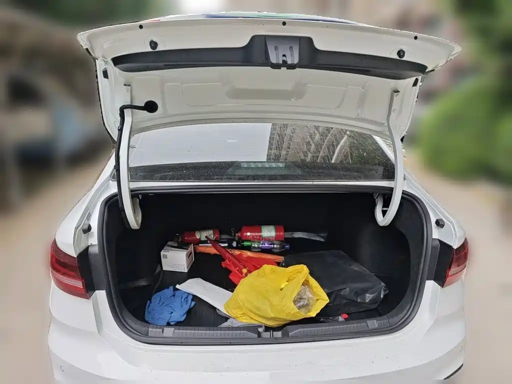 Volkswagen Lavida — миниатюра 15