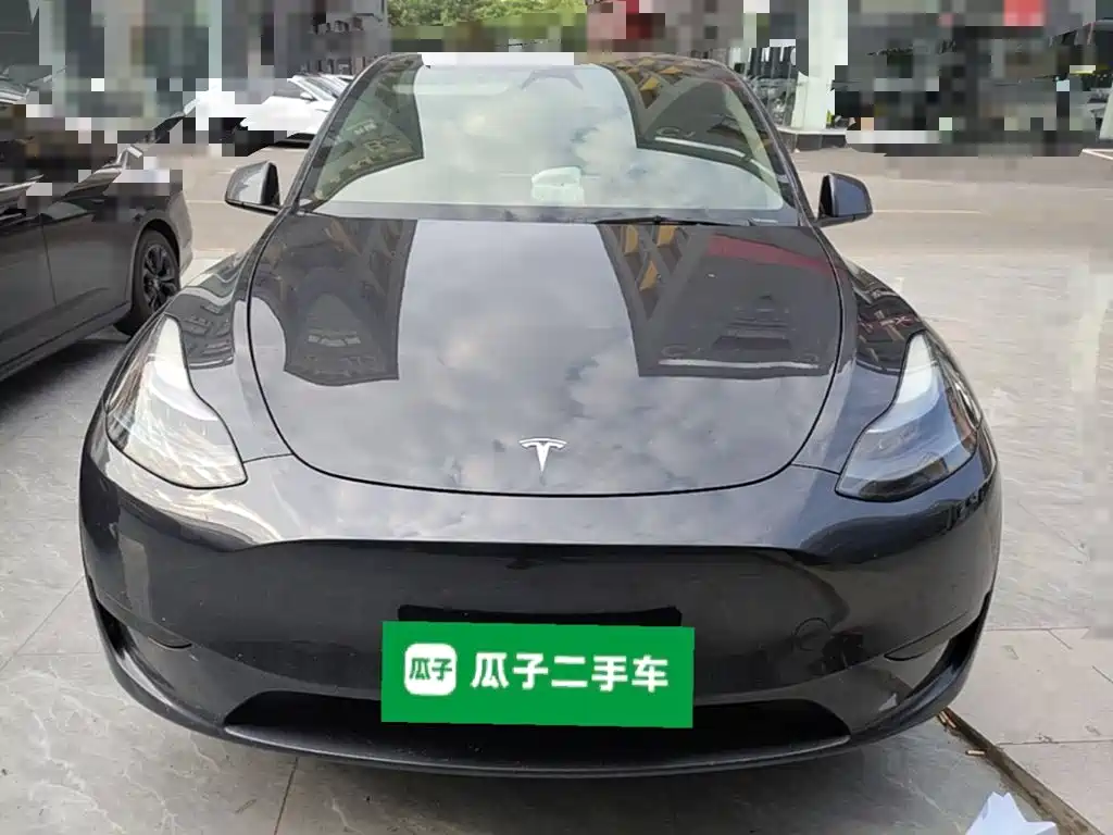 Tesla Model Y — миниатюра 3