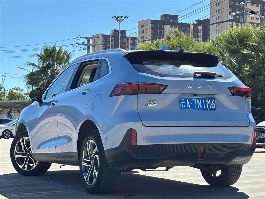 WEI PAI MACCHIATO DHT