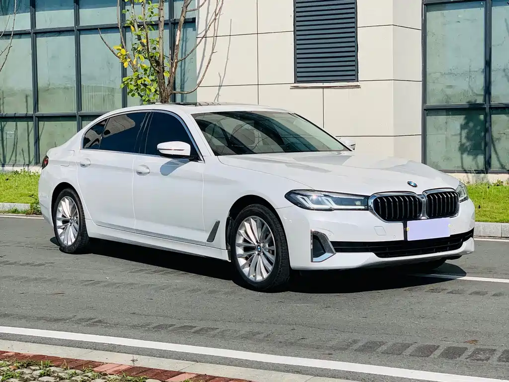BMW 5 Series — миниатюра 3