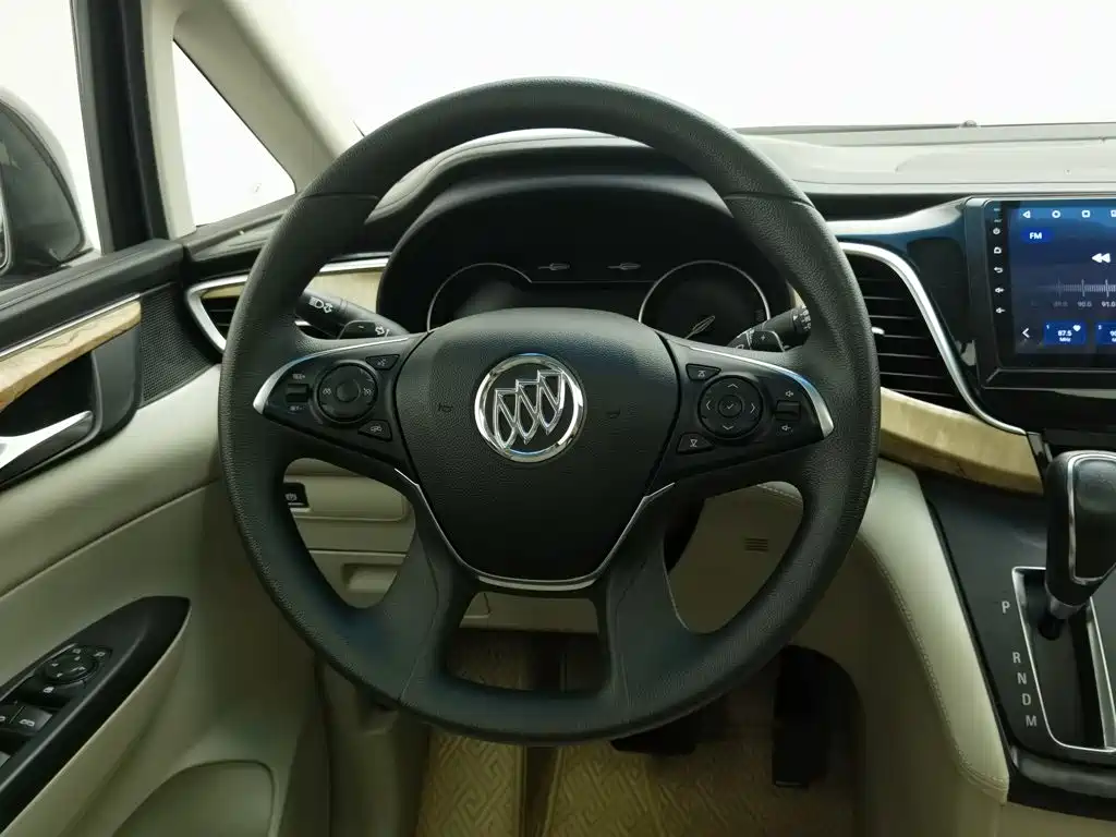 Buick GL8 — миниатюра 11