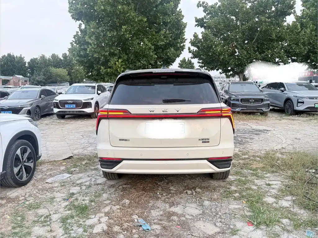 Wey Wey Lanshan — миниатюра 10