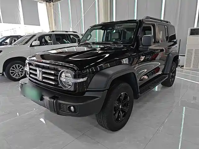 Tank 300