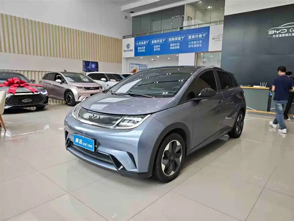 Byd Dolphin 2024