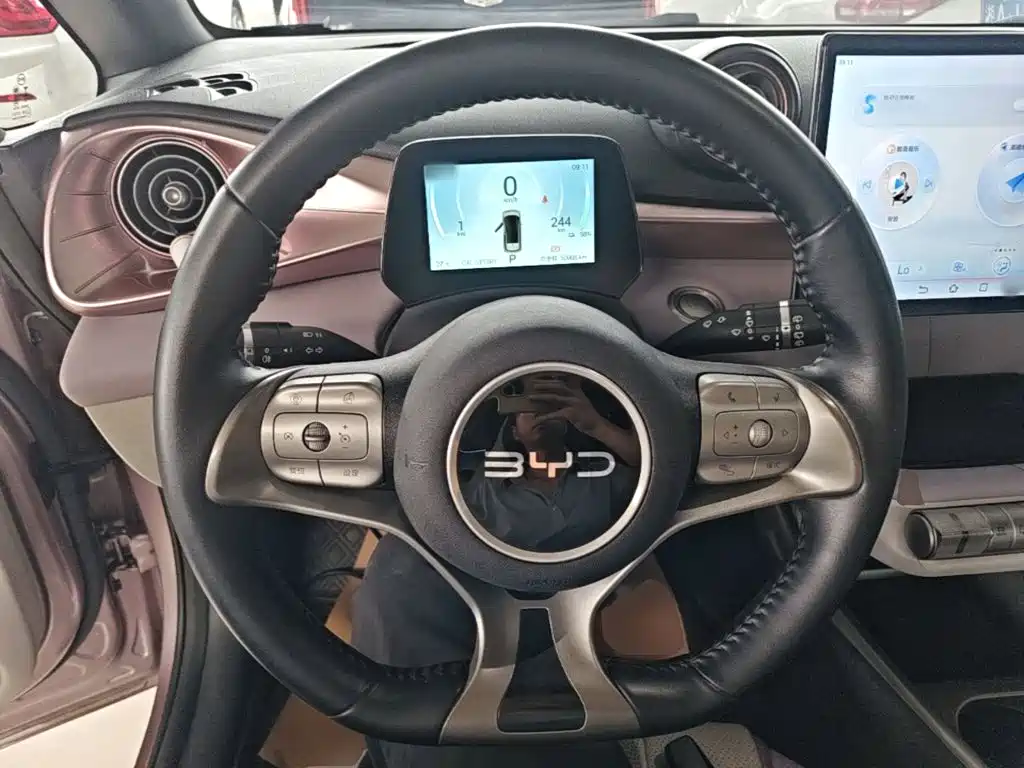 BYD Dolphin — миниатюра 11