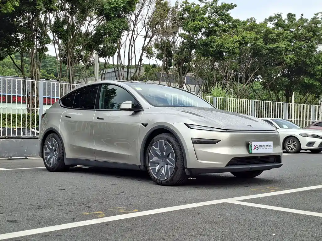 Tesla Model Y L — миниатюра 3