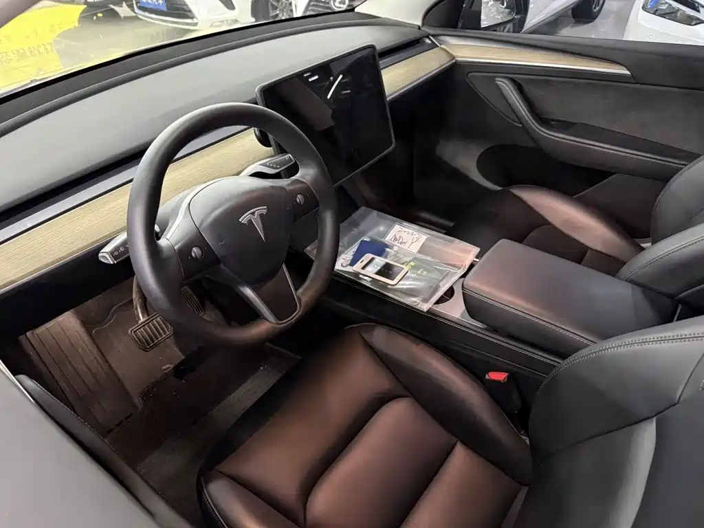 Tesla Model Y — миниатюра 4