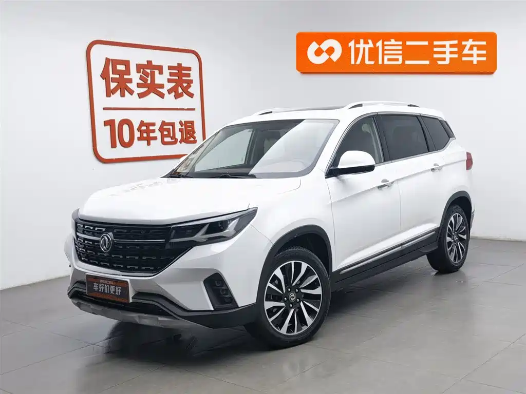 Fengxing Fengxing T5 2019