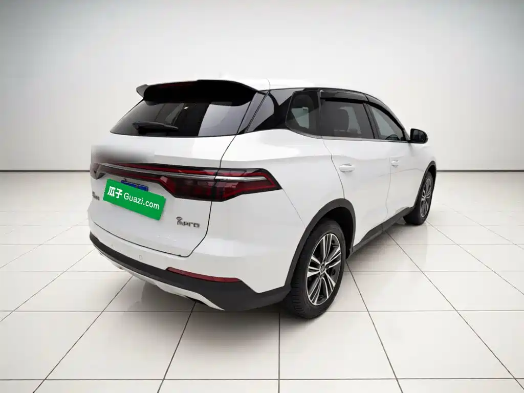 BYD Pro — миниатюра 4
