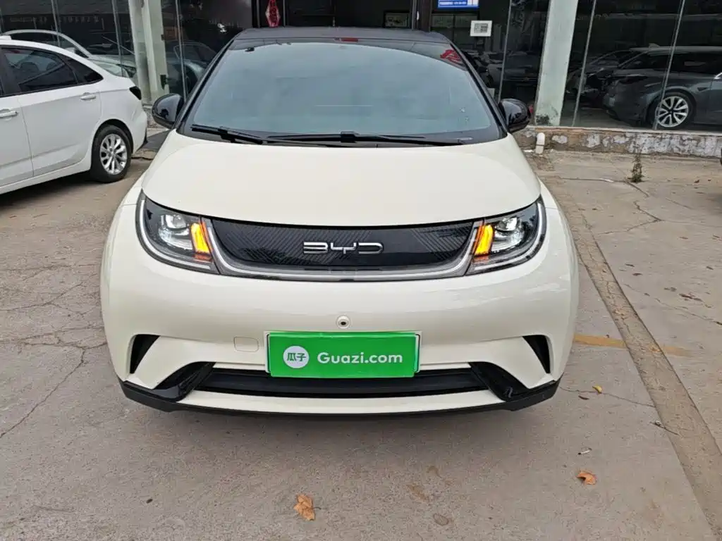 BYD Dolphin — миниатюра 3