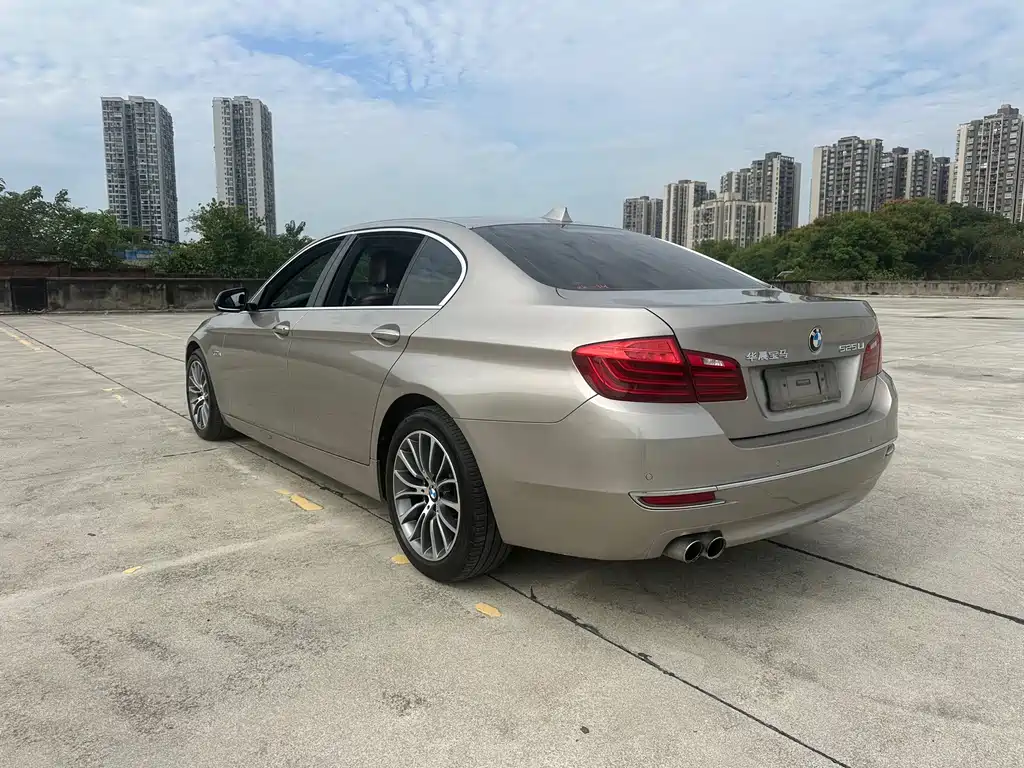 BMW 5 Series — миниатюра 5