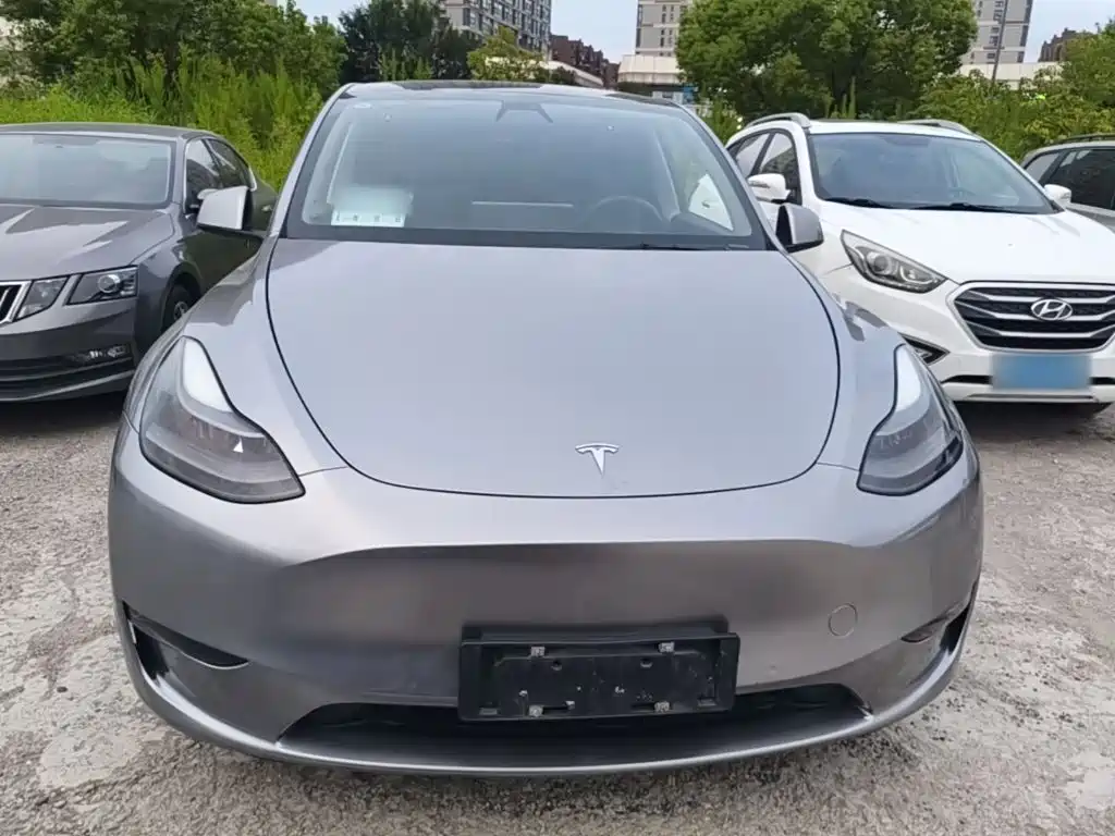 Tesla Model Y — миниатюра 3