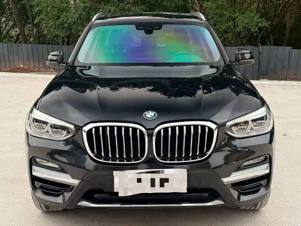 BMW X3 2018 xDrive28i Luxury VI