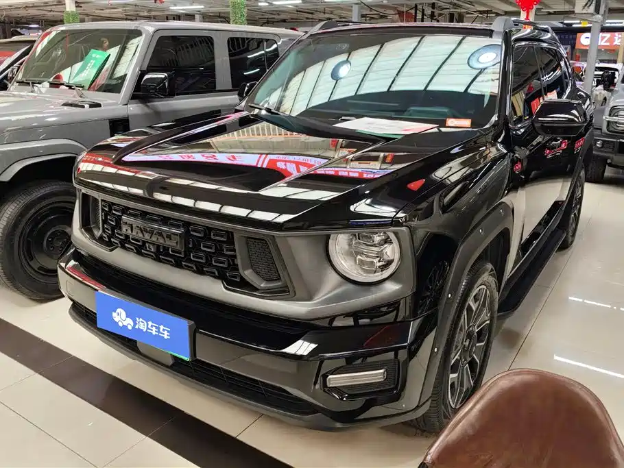 Haval 哈弗大狗 PLUS 新能源 2024