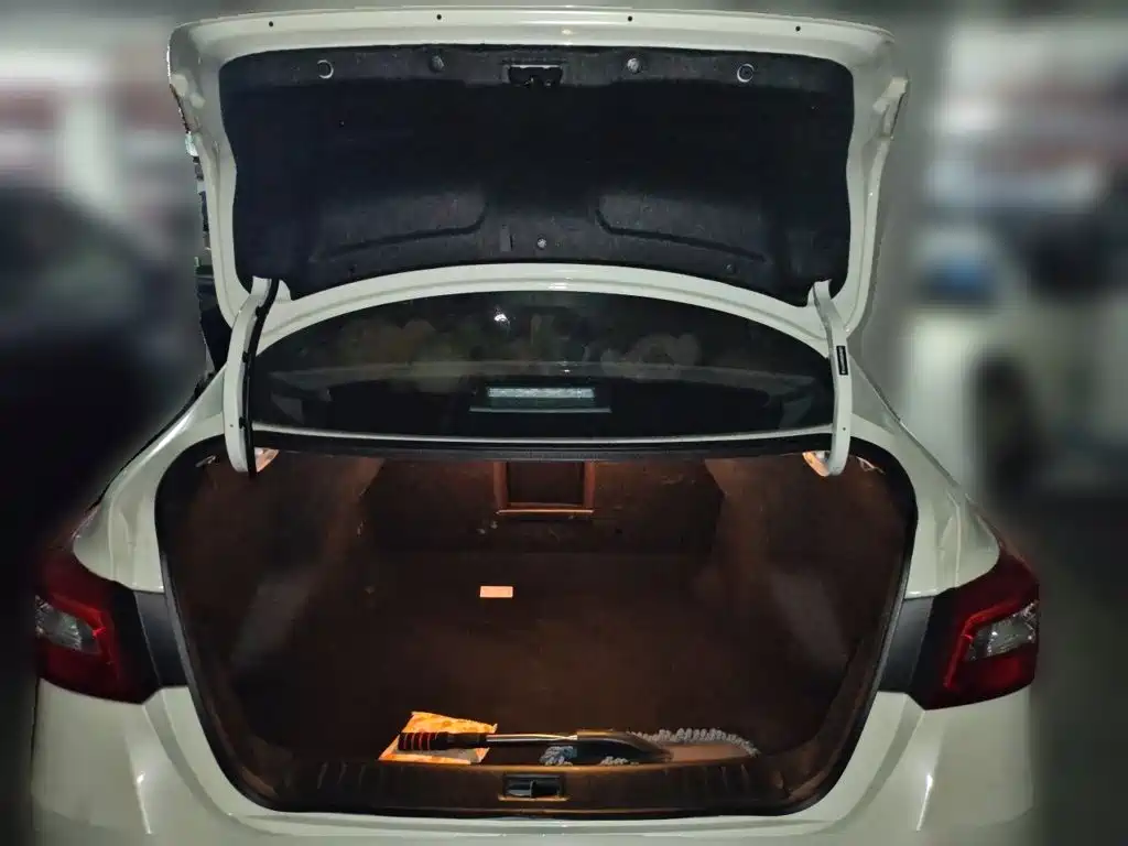 Nissan Sylphy — миниатюра 15