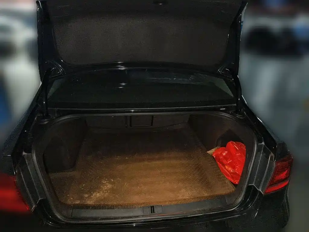 Volkswagen Magotan — миниатюра 15