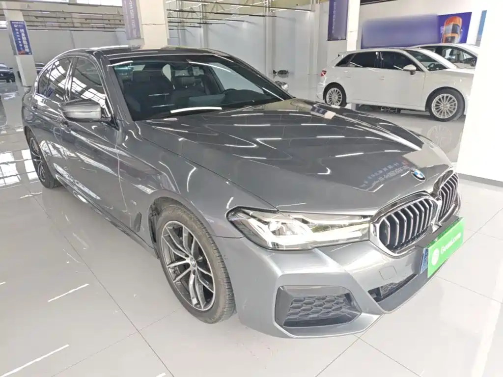 BMW 5 Series (Import) — миниатюра 4