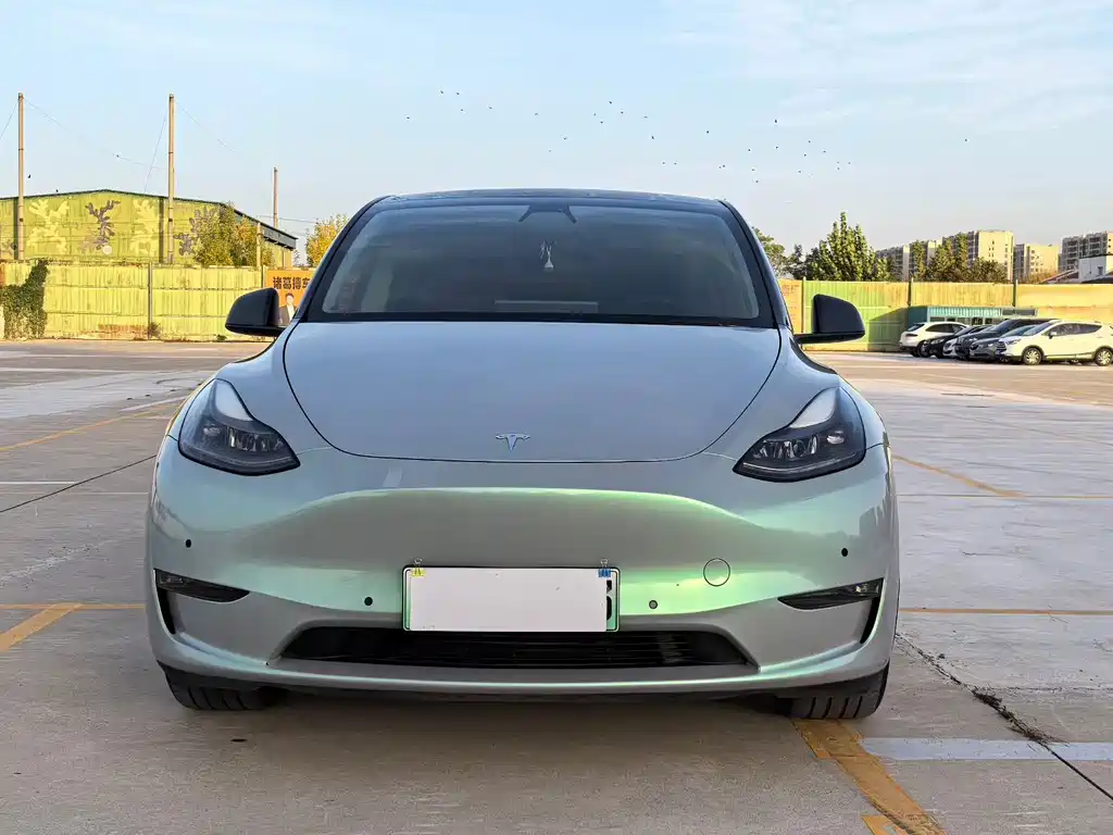 Tesla Model Y — миниатюра 2