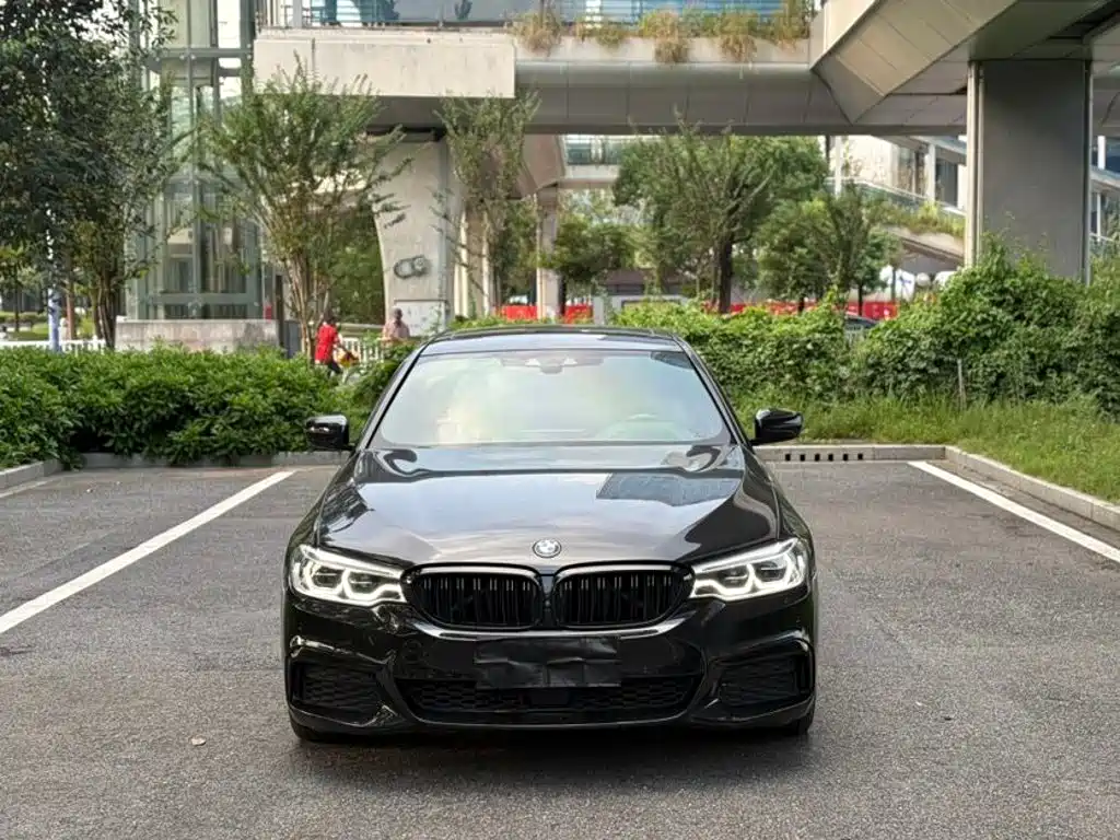 BMW 5 Series — миниатюра 2