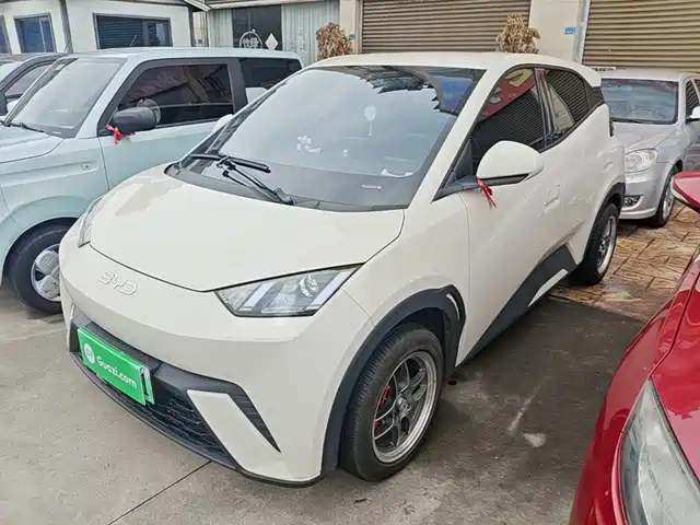 2024 BYD Seagull
