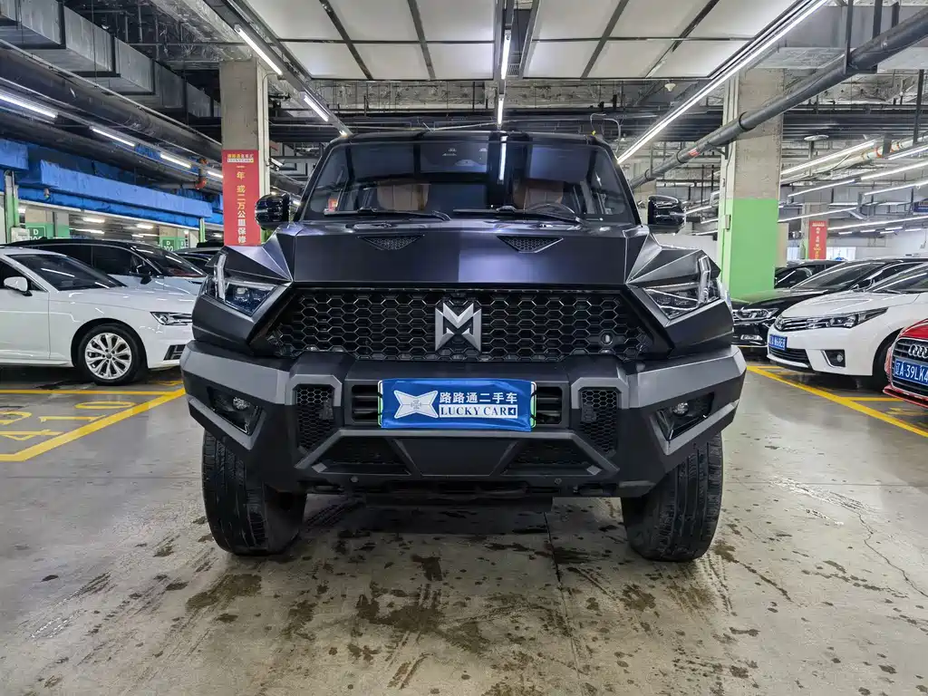 Mengshi Mengshi 917 — миниатюра 2