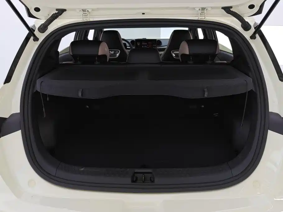 BYD Dolphin — миниатюра 4