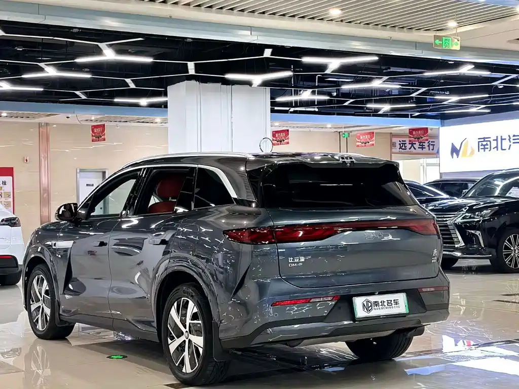 BYD Дон Л. — миниатюра 8