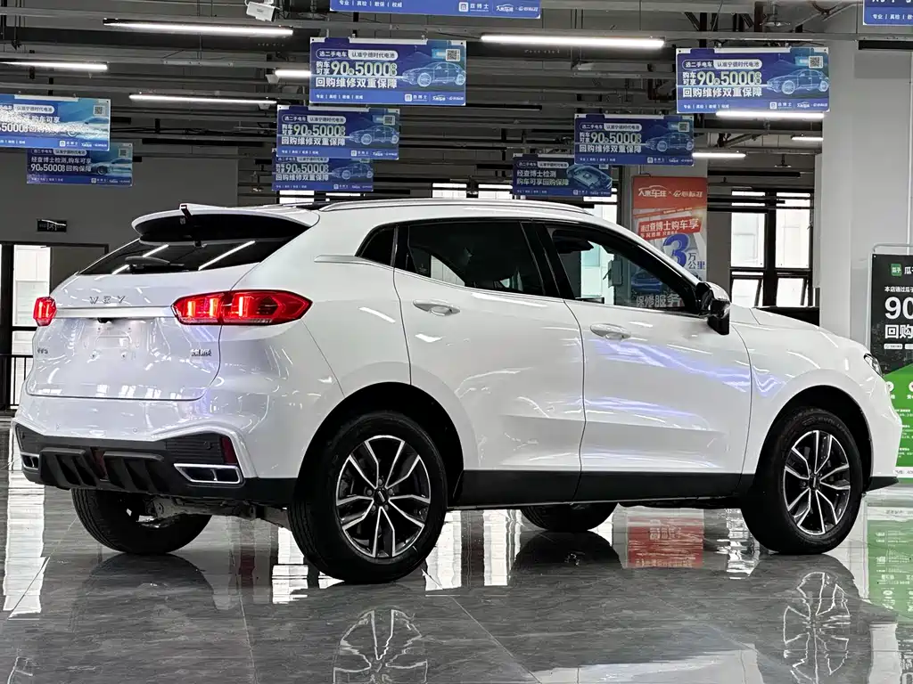 WEI PAI WEI BRAND VV5