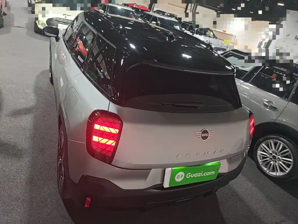MINI MINI ACEMAN EV — миниатюра 6