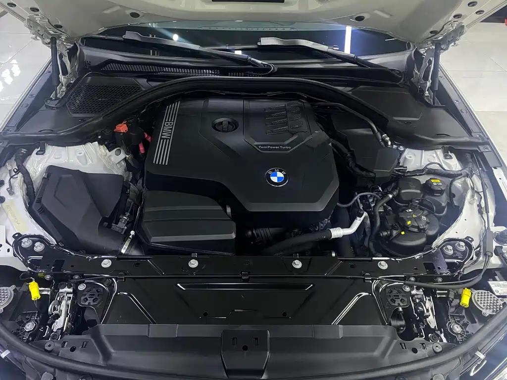 BMW 3 Series 3 2020 325Li M Sport