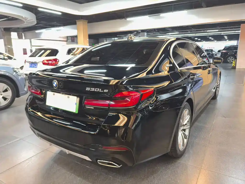 BMW 5 SERIES NEW ENERGY