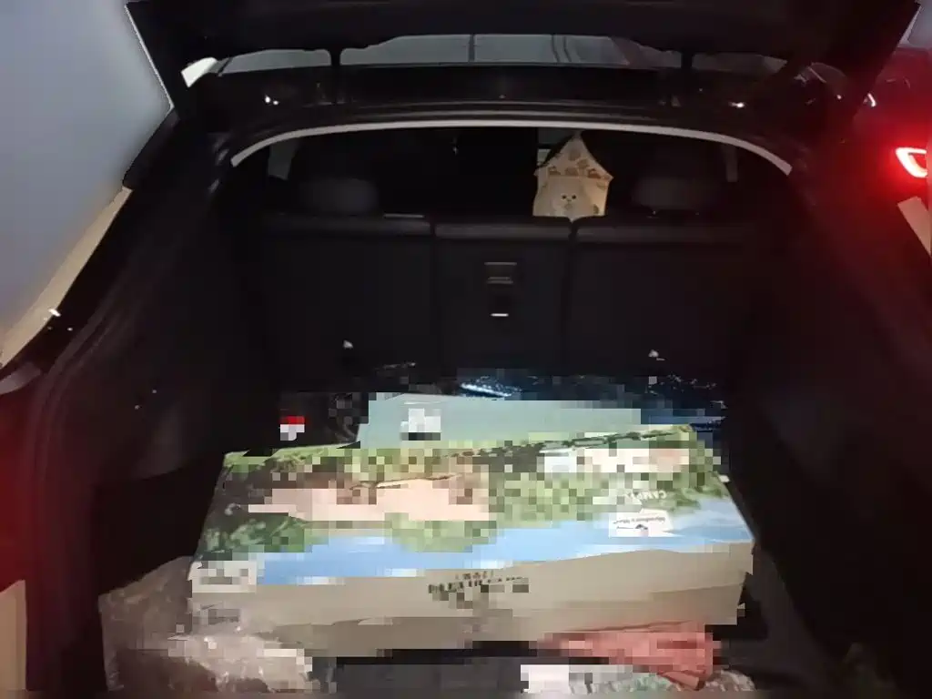 Tesla Model Y — миниатюра 10