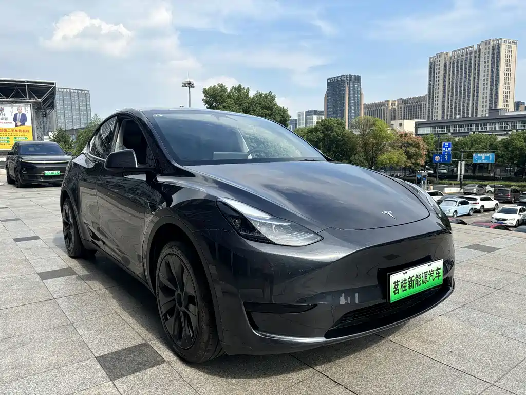 Tesla Model Y — миниатюра 3