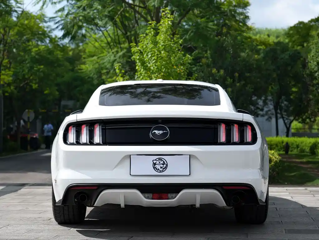 Ford Mustang — миниатюра 13