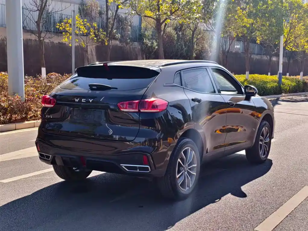 WEI PAI WEI BRAND VV5