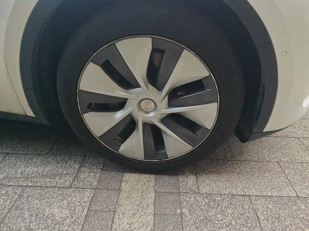 Tesla Model Y — миниатюра 26