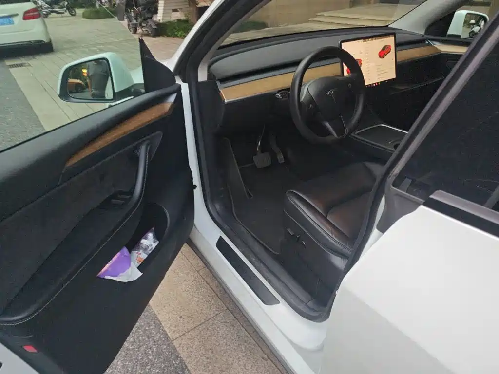 Tesla Model Y — миниатюра 13