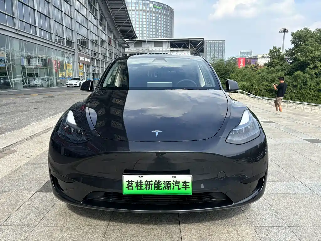 Tesla Model Y — миниатюра 2