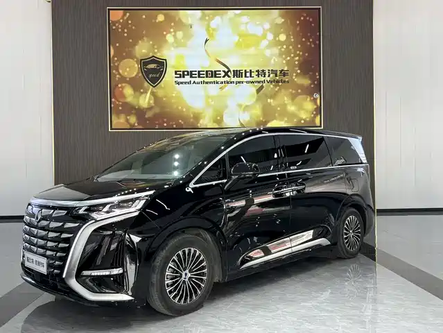 2023 Denza D9
