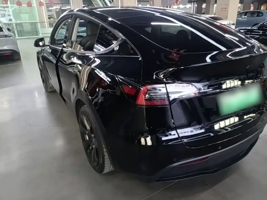 Tesla Model Y — миниатюра 5