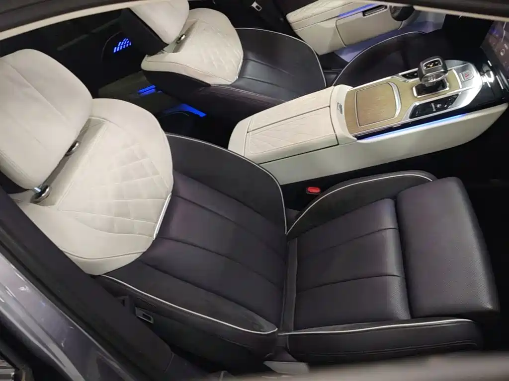Hongqi Hongqi E-HS9 — миниатюра 25