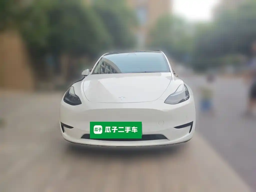 Tesla Model Y — миниатюра 3