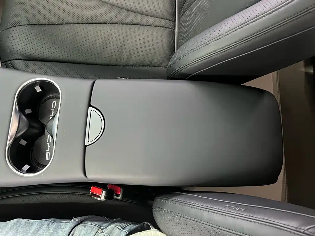 BYD Haisi 06 — миниатюра 13